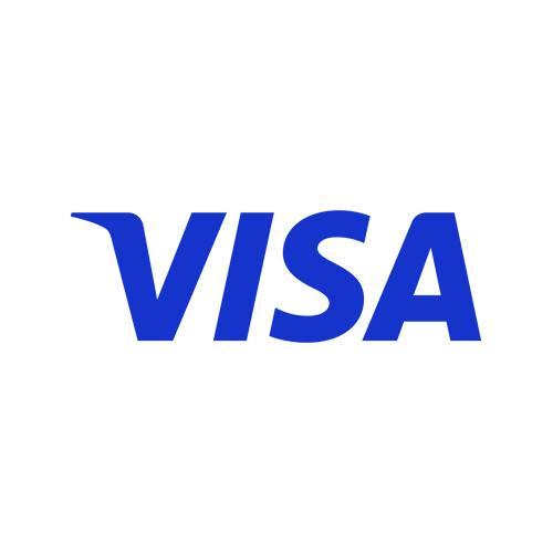 Zahlungsart E-Com VISA