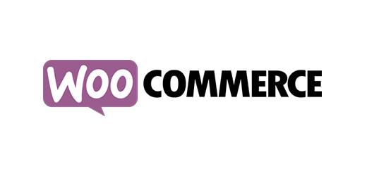 E-Commerce shop system wooCommerce